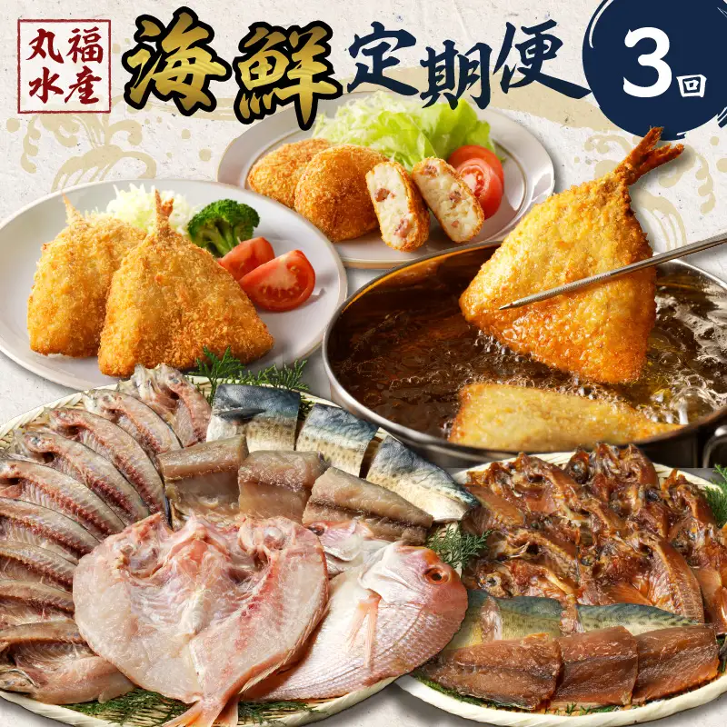 丸福水産・海鮮定期便（3回）｜ 干物 アジフライ 干物 定期便【Z068】