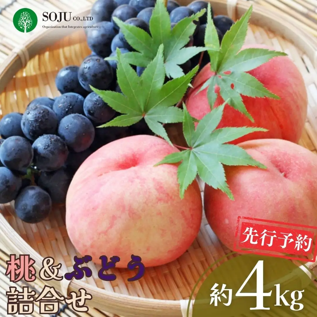 先行予約 季節の桃&ぶどう詰合せ 約4kg 令和8年度 桃（日の出 あかつき なつっこ 川中島白桃 あきぞら 白根白桃 黄金桃） ぶどう（巨峰 シャインマスカット ロザリオビアンコ セキレイ）贈答用 新潟県 三条市産 [三条果樹専門家集団]【038P006】