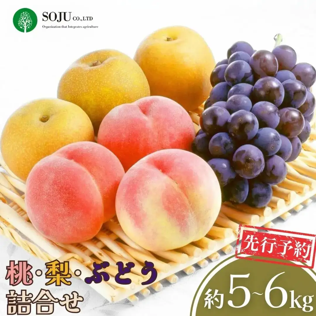 先行予約 季節の桃・梨・ぶどうの詰合せ 合計5~6kg 令和8年度 桃 梨 和梨 ぶどう 贈答用 新潟県 三条市産 果物 [三条果樹専門家集団]【035P010】