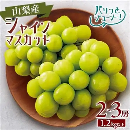 【2026年発送】山梨市産　シャインマスカット　2～3房(1.2kg以上)【配送不可地域：離島】【1465064】