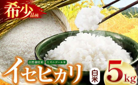 【令和7年産】自然栽培 イセヒカリ 5kg 白米 長野県産