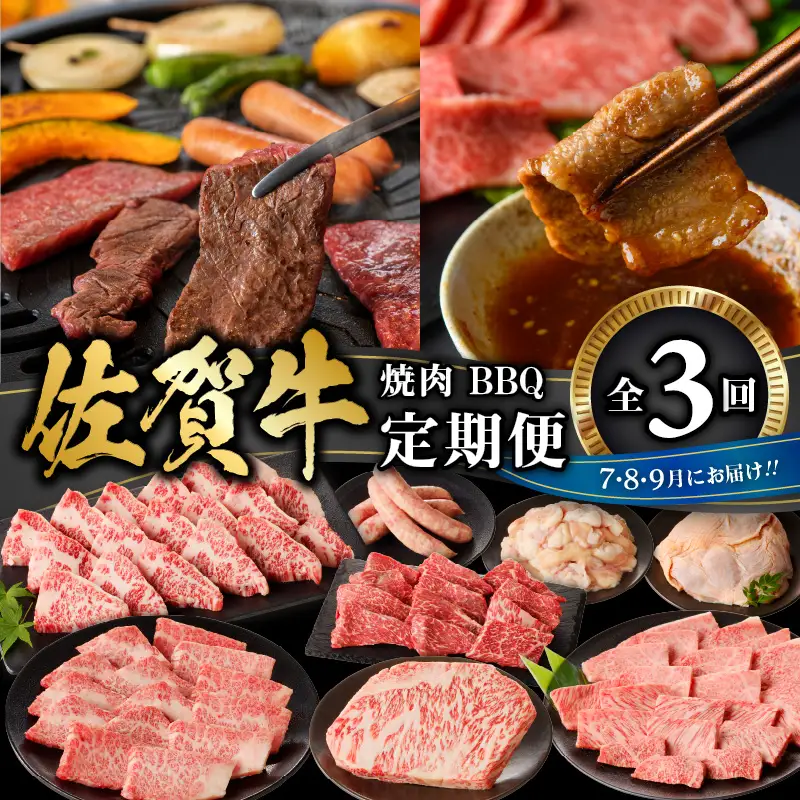 佐賀牛　焼肉・ＢＢＱ定期便｜焼肉【Z094】