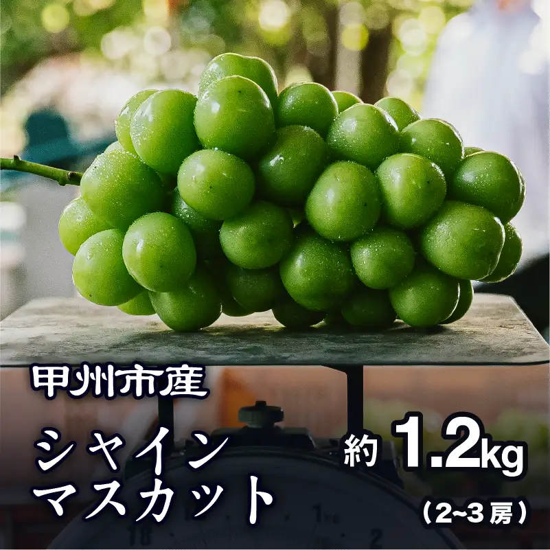 【農家厳選！】甲州市産 シャインマスカット 約1.2kg【2026年発送】（PJ）B-188 シャインマスカット フルーツ