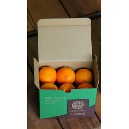 主井農園の松兵衛みかんご家庭用1kgお試し(サイズ混合)【配送不可地域：離島】【1464778】