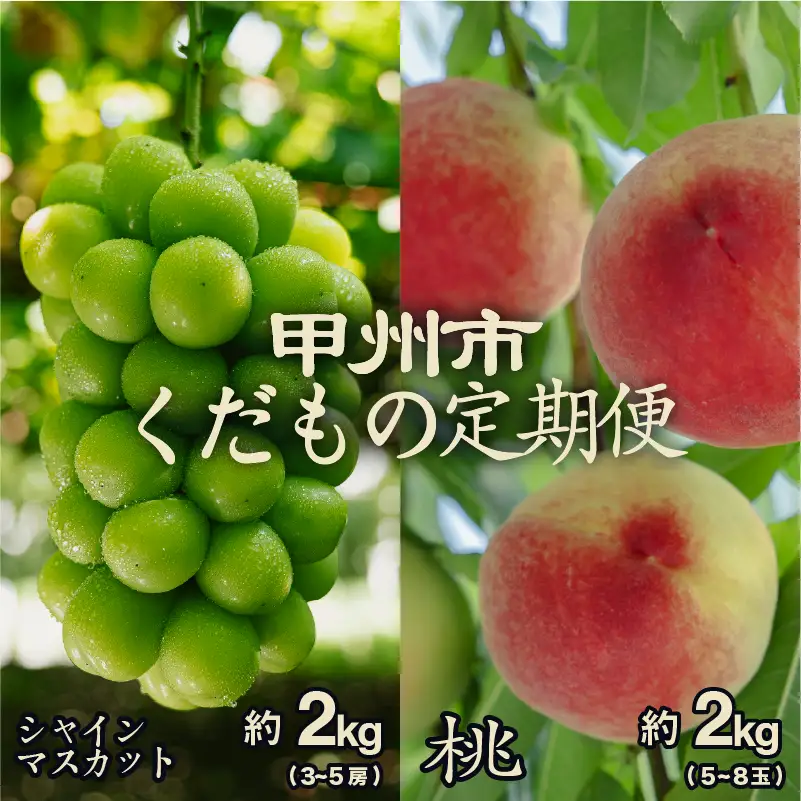 【甲州市くだもの定期便2選】桃約2kg・シャインマスカット約2kg【2026年発送】（PJ）C8-171 もも シャインマスカット フルーツ