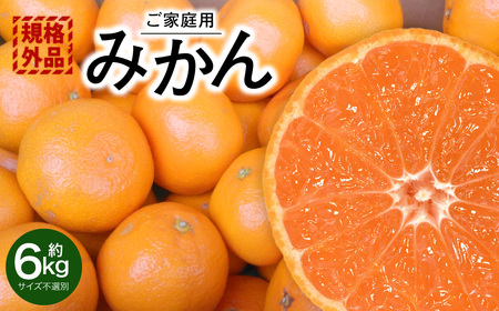【規格外品】 みかん ご家庭用 約6kg サイズ不選別 蜜柑 ミカン フルーツ 果物 くだもの 柑橘 熊本産 九州産 【2026年10月下旬～2027年2月上旬迄発送予定】