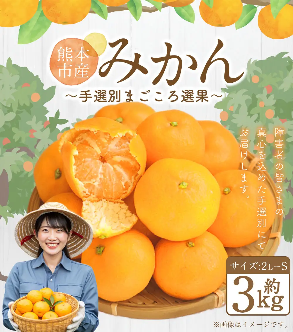 熊本県産 みかん 【手選別まごころ選果】 約3kg サイズ 2L～S 蜜柑 ミカン フルーツ 果物 くだもの 柑橘 熊本産 九州産【2026年10月下旬～2027年2月上旬迄発送予定】