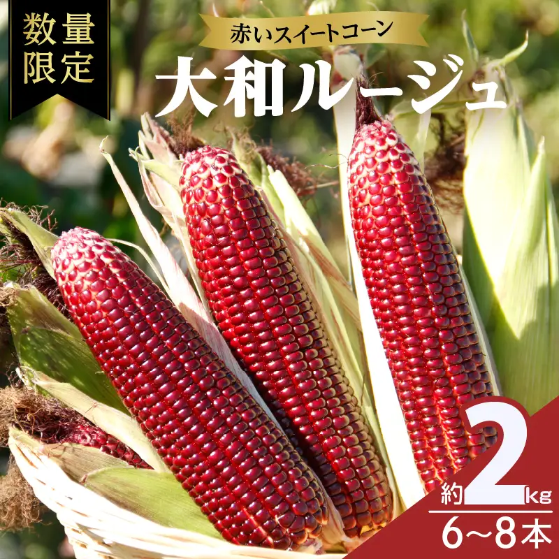 先行予約≪期間限定≫赤いスイートコーン大和ルージュ(約2kg) とうもろこし 野菜 国産_T003-0075