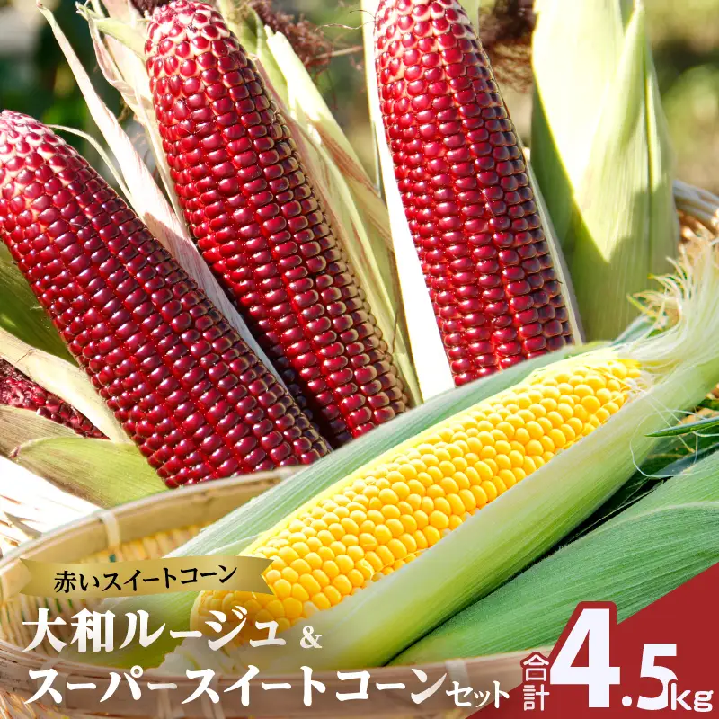 先行予約≪期間限定≫赤いスイートコーン大和ルージュ＆スーパースイートコーンセット(合計4.5kg) 野菜 旬 国産_T003-0085