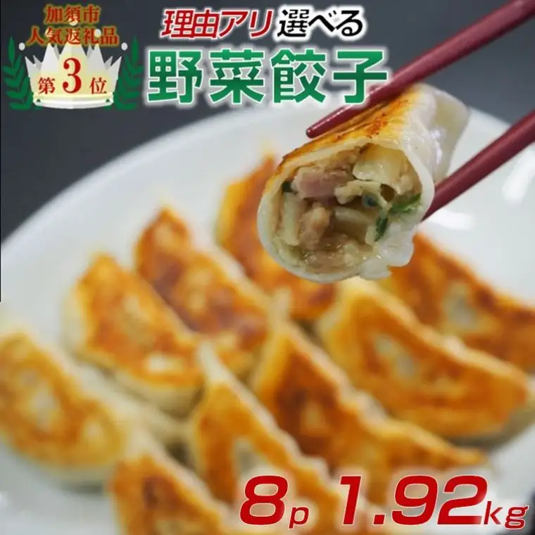 訳あり 冷凍野菜餃子：8パック 中華 餃子