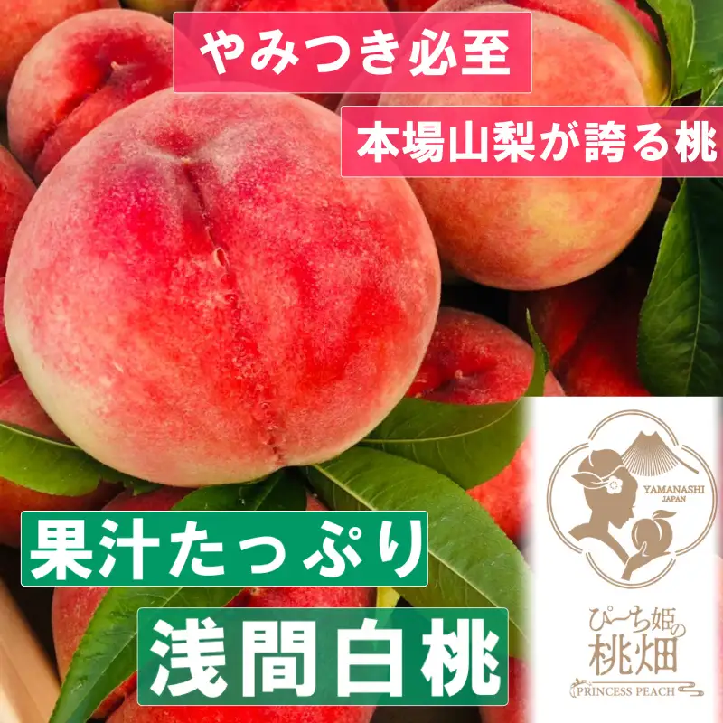 【果汁たっぷり浅間白桃ブランド】当園ダントツ人気No.1の品種 約2kg【2026年発送】（PMK）D4-108  【浅間白桃 桃 もも モモ 令和8年発送 期間限定 山梨県産 甲州市 フルーツ 果物】