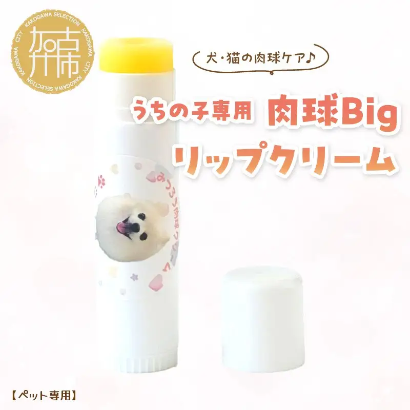 【ペット専用】うちの子専用肉球 Bigリップクリーム 《 ペットグッズ 愛犬 ケア 国産みつろう100% オーガニック スティックタイプ 大容量 ホホバオイル 》【2400N13313】