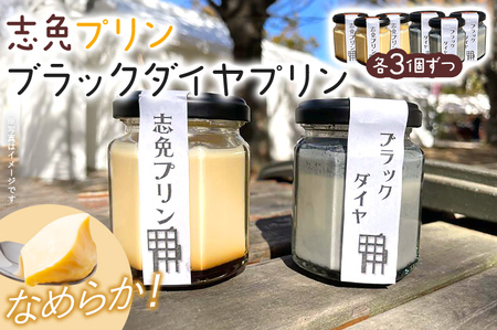 志免プリン、ブラックダイヤプリン（各3個ずつ） プリン お取り寄せグルメ お取り寄せ 福岡 お土産 九州 福岡土産 取り寄せ グルメ 福岡県