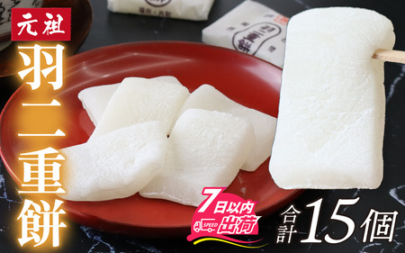 福井名物元祖羽二重餅 [A-017003] / 和菓子 和菓子