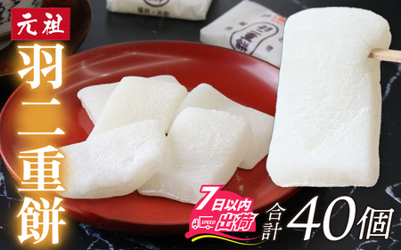 【和菓子】福井名物！元祖羽二重餅40ヶ入 [A-017001] / 和菓子