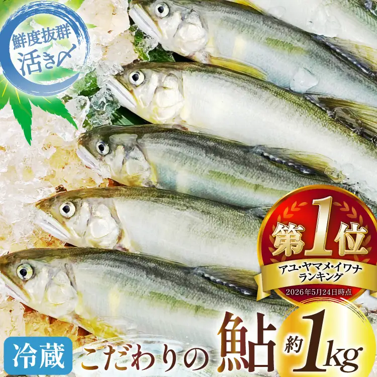 【期間限定発送】 鮎 こだわりの生鮎 約1kg [株式会社 あゆの是則 宮崎県 日向市 452060793]