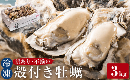 訳あり 冷凍 殻付き牡蠣 3kg 加熱用 三陸産 牡蠣