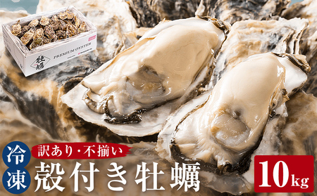 訳あり 冷凍 殻付き牡蠣 10kg 加熱用 三陸産 牡蠣