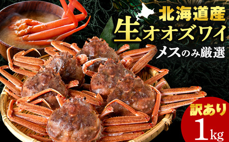 北海道産 生オオズワイガニ メス 1kg （加熱用） 〈斉藤水産〉 AM158