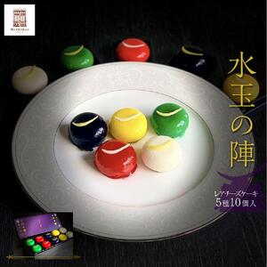 「水玉の陣」 - Gift Box 10 piece -　【 お菓子 スイーツ 洋菓子 宝石みたいなスイーツ 上品 華やか ブルーベリー ゆず ずんだ レアチーズケーキ フランボワーズ 抹茶 】