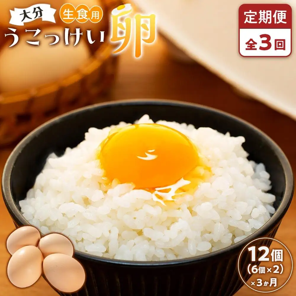 【定期便 全3回】大分うこっけい卵　生食用12個（6個×2パック）＜一人暮らしの方におすすめ♪＞