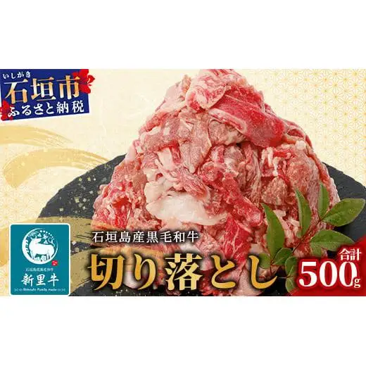 石垣島産 黒毛和牛 新里牛 多用途抜群！ 切落し (500g×1) 500g SZ-13