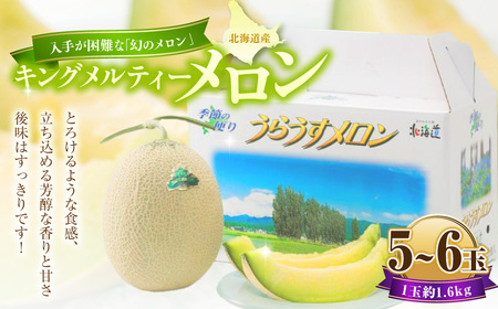 キングメルティーメロン 5～6玉（1玉 約1.6kg） 【2026年7月上旬～2026年7月下旬発送予定】 果物 フルーツ メロン めろん 青肉 希少フルーツ 希少品 北海道 浦臼町