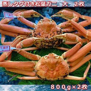 【先行予約 2026年11月中旬以降発送】蒸しタグ付き松葉ガニ　大　２枚　１枚800～940ｇ前後MK2
