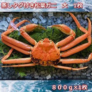 【先行予約 2026年11月中旬以降発送】蒸しタグ付き松葉ガニ　大　１枚　800～940ｇ前後MK6