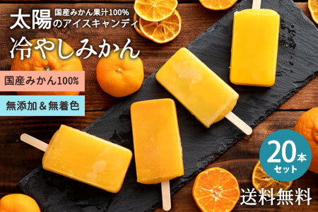 冷やしみかんアイス 20本セット