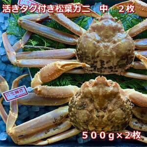 【先行予約 2026年11月中旬以降発送】活きタグ付き松葉ガニ　中　2枚　１枚500～640ｇ前後MK9