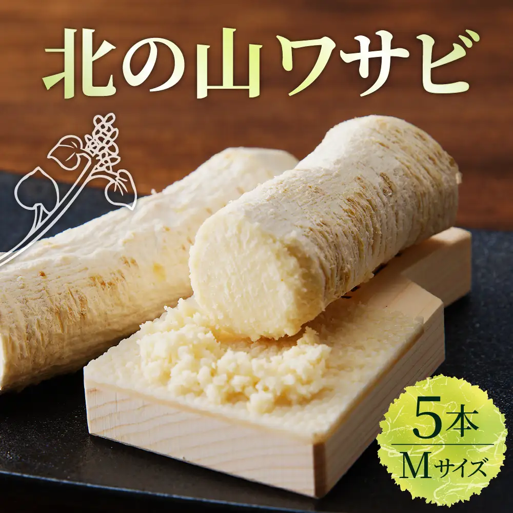 北の山ワサビ（根茎）Mサイズ 1本入×5パック ホースラディッシュ 西洋わさび 山葵 薬味 真空パック 冷蔵便 国産 北海道 十勝 芽室町me011-003c