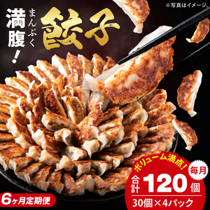 【6ヶ月定期便】満腹餃子 リピーター続出！ボリューム満点！120個（３kg ）×6回（EJ-15）
