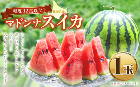 マドンナスイカ 1玉 （2～3Lサイズ） 【2026年7月上旬～2026年7月下旬発送予定】 果物 フルーツ すいか スイカ 西瓜 季節のフルーツ 旬のフルーツ 旬 甘い 北海道 浦臼町