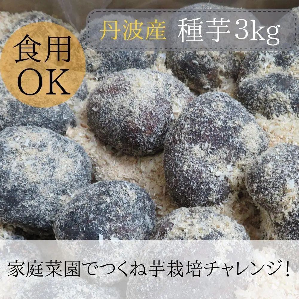 【芋家なか吉】丹波山の芋 種芋 3kg  食用でもOK/令和7年11月収穫［ 京都 芋 いも イモ 新鮮 野菜 栽培 人気 おすすめ お取り寄せ 通販 ふるさと納税 ］