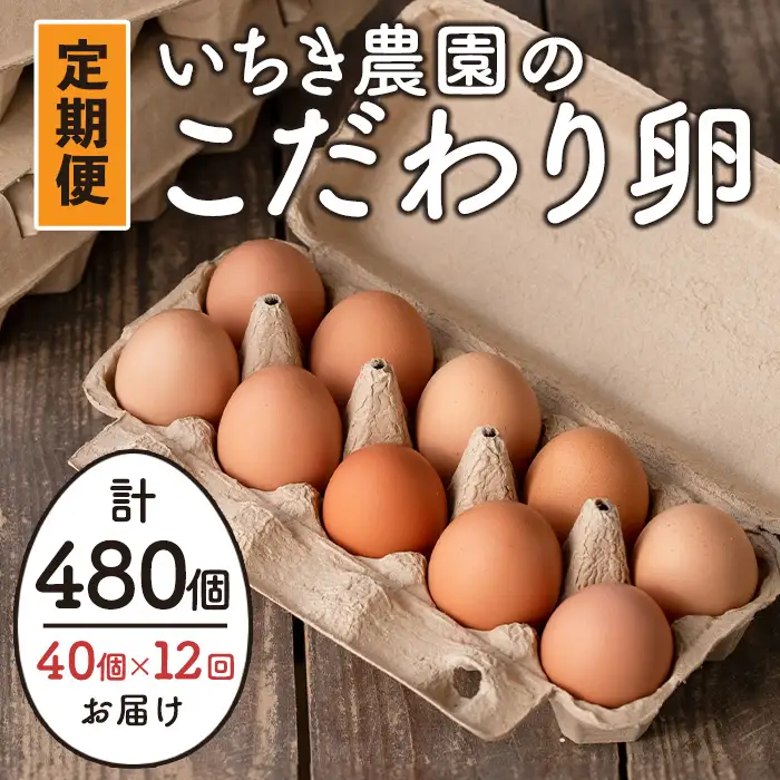 isa529 【定期便】いちき農園のこだわり卵(計480個・40個×12カ月) 平飼い 鶏 たまご 卵 タマゴ 低コレステロール 抗生物質不使用 卵かけご飯 TKG 定期便【いちき農園】【isa529】