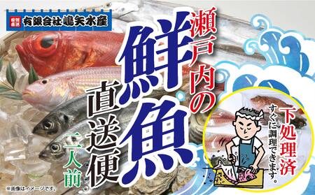 【嶋矢水産】 瀬戸内の鮮魚 直送便 下処理済み 産地直送 10000円 台 二人前 刺身 煮魚 焼き魚 瀬戸内海 愛媛 松山 老舗 魚 人気 イサキ タイ 鯛 ワカナ サワラ 鰆 炙り メバル オコゼ イサキ チダイ タチウオ【SMY001】