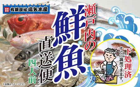 【嶋矢水産】 瀬戸内の鮮魚 直送便 下処理済み 産地直送 20000円 台 四人前 刺身 煮魚 焼き魚 瀬戸内海 愛媛 松山 老舗 魚 人気 イサキ タイ 鯛 ワカナ サワラ 鰆 炙り メバル オコゼ イサキ チダイ タチウオ【SMY002】