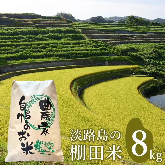 淡路島の棚田米 ８kg　白米