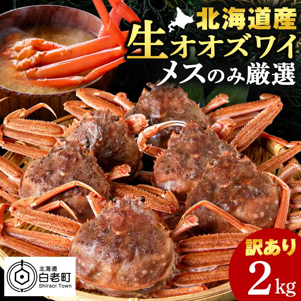 北海道産 生オオズワイガニ メス 2kg （加熱用） 〈斉藤水産〉 AM159