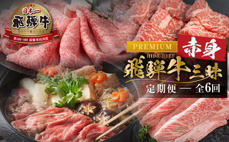 《まるごと定期便》6回 お届け 飛騨牛 赤身三昧 飛騨牛 [S605]