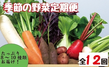 【野菜の定期便】こばやし季節の野菜詰め合わせセット　全12回（ 野菜セット 季節野菜セット 新鮮野菜セット 旬野菜セット 定期便野菜セット ）