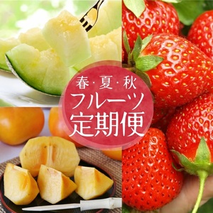 SC0628　【3回定期便】自然の恵み　春・夏・秋フルーツ定期便2026 (いちご、青肉メロン、柿)