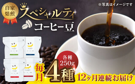 コーヒー[豆]12回定期 自家焙煎スペシャルティコーヒー豆(250g×4種)約80杯分ZCJ018