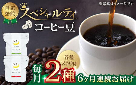 コーヒー[豆]6回定期 自家焙煎スペシャルティコーヒー豆(250g×2種)約40杯分ZCJ016