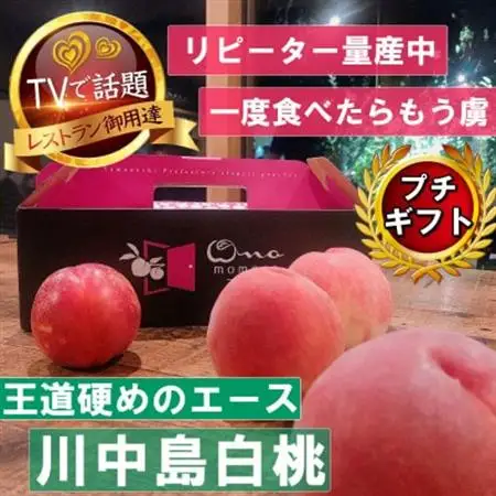 《王道硬めのエース川中島白桃》桃グランプリ銅賞＆5年連続TV出演話題ブランド2026年8月上旬発送【配送不可地域：離島・北海道・沖縄県・中国・四国・九州】【1465325】