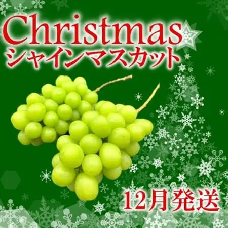 【2026年発送】冬季限定!!山梨県山梨市産　クリスマスシャインマスカット　約1kg　2～3房【配送不可地域：離島・沖縄県】【1468543】