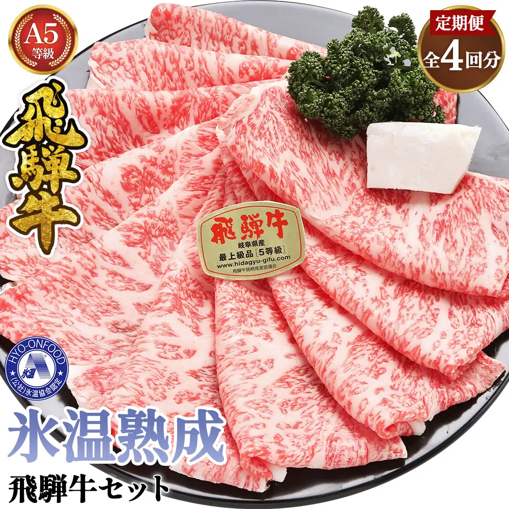 【3ヵ月毎定期便】氷温（R）熟成飛騨牛セット　全4回 [No.902]