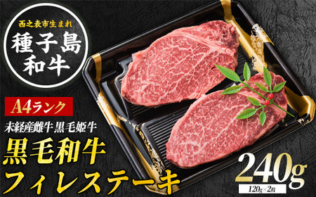 種子島 生まれ！ 黒毛 和牛 フィレステーキ 120g×2枚　NFN548 【900pt 】  