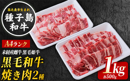 種子島 生まれ！ 黒毛 和牛 BBQ 焼肉セット 1kg　NFN547 【1425pt】 